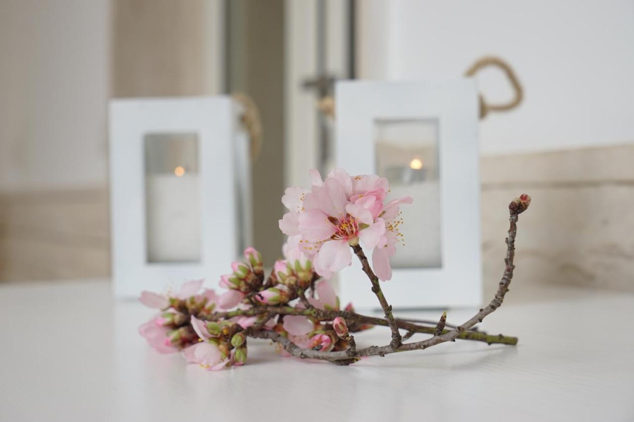 Femily B&B Bed And Breakfast Di Puglia In - Bari Grumo Appula 外观 照片