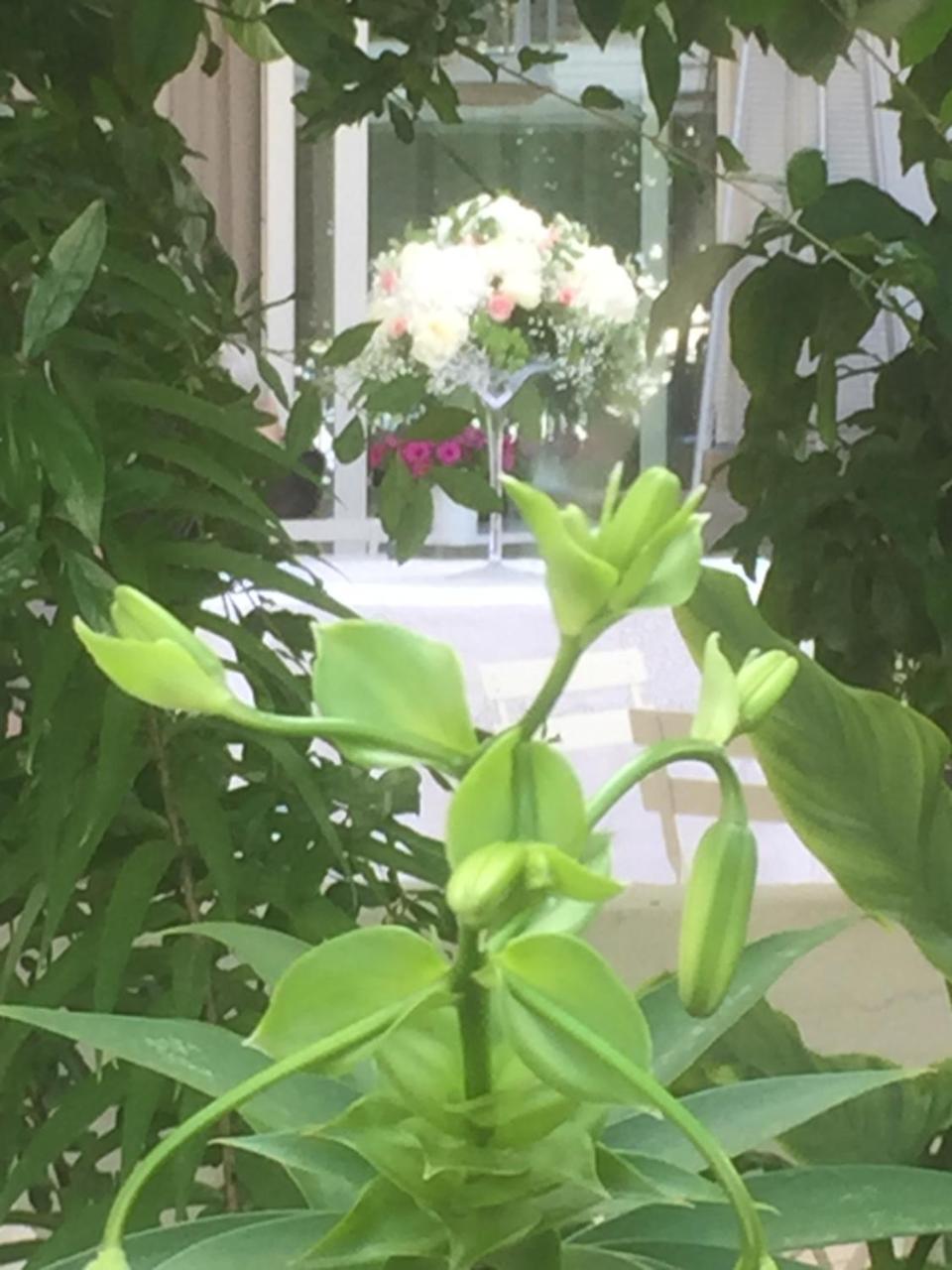Femily B&B Bed And Breakfast Di Puglia In - Bari Grumo Appula 外观 照片